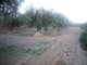 tusAnuncios.com - Venta Terrenos